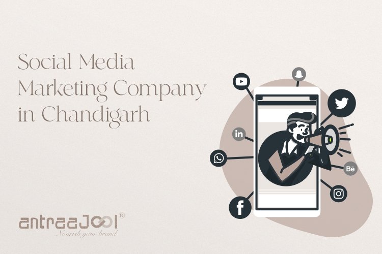 best Social Media Marketing Agency in Chandigarh