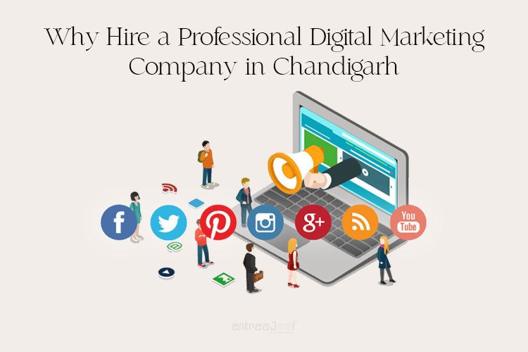 Why Hire a Professional Digital Marketing Company in Chandigarh