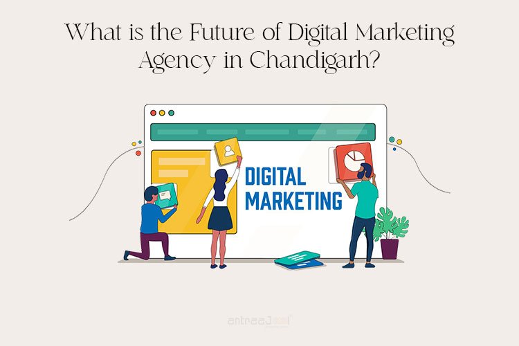 What is the future of Digital marketing agency in Chandigarh?