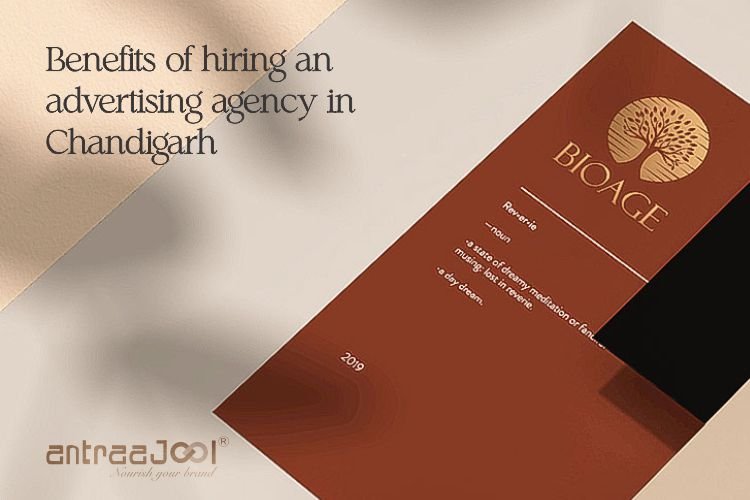 Benefits of hiring an advertising agency in Chandigarh