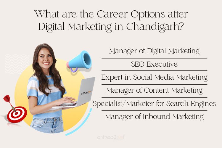 What are the Career Options after Digital Marketing in Chandigarh?